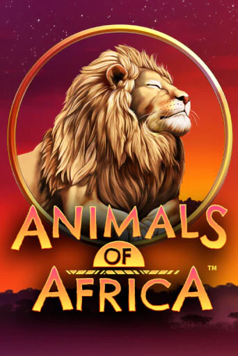 Демо версия Animals of Africa ™ от Microgaming | Чемпион Слотс 