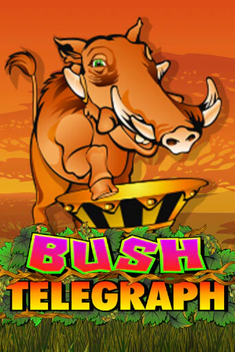 Демо версия Bush Telegraph от Microgaming | Чемпион Слотс 