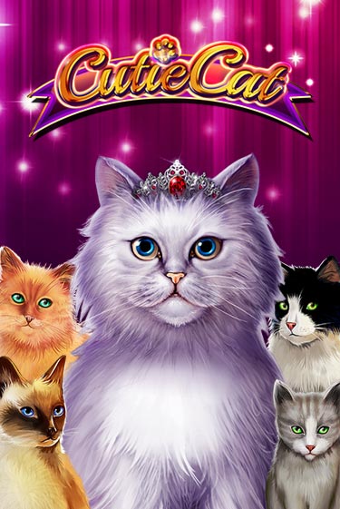 Демо версия Cutie Cat от Gamomat | Чемпион Слотс 