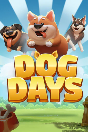 Демо версия Dog Days от Microgaming | Чемпион Слотс 