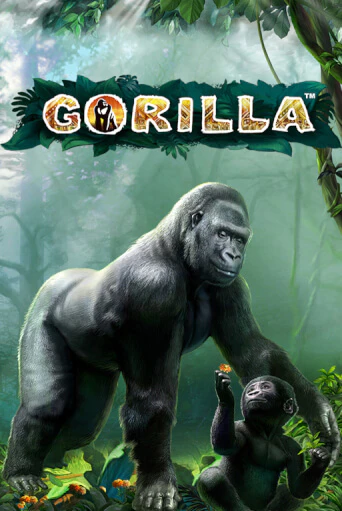 Демо версия Gorilla от Novomatic | Чемпион Слотс 