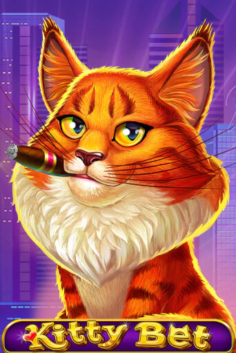 Демо версия Kitty Bet от Amatic | Чемпион Слотс 
