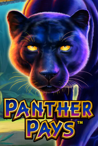 Демо версия Panther Pays от Playtech | Чемпион Слотс 