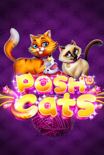 Демо версия Posh Cats от Platipus | Чемпион Слотс 