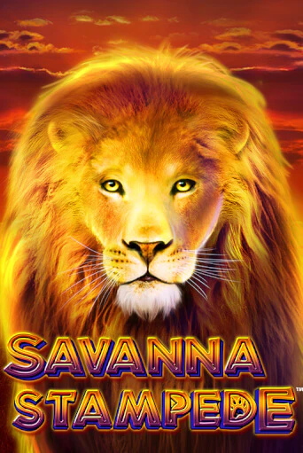 Демо версия Savanna Stampede от Blueprint Gaming | Чемпион Слотс 