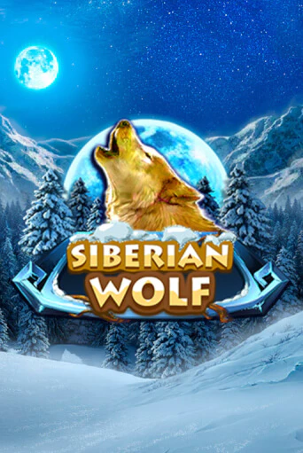 Демо версия Siberian Wolf от Red Rake Gaming | Чемпион Слотс 
