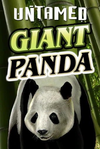 Демо версия Untamed - Giant Panda от Microgaming | Чемпион Слотс 