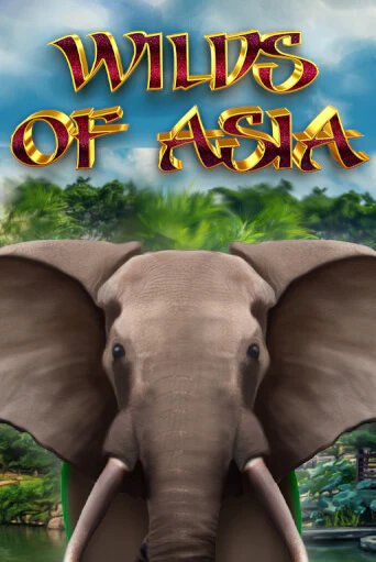 Демо версия Wilds of Asia от 5 Men Gaming | Чемпион Слотс 