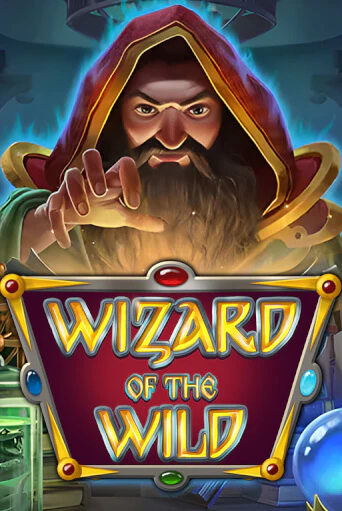 Демо версия Wizard of the Wild от Platipus | Чемпион Слотс 