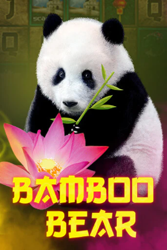 Демо версия Bamboo Bear от Mascot Gaming | Чемпион Слотс 
