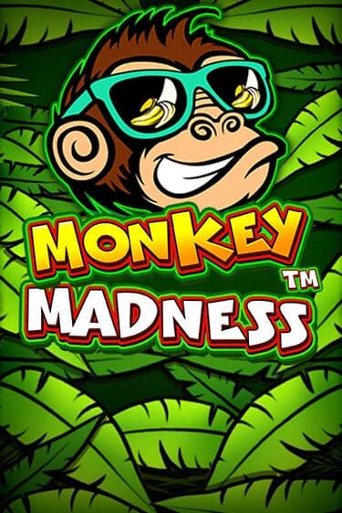 Демо версия Monkey Madness от Pragmatic Play | Чемпион Слотс 